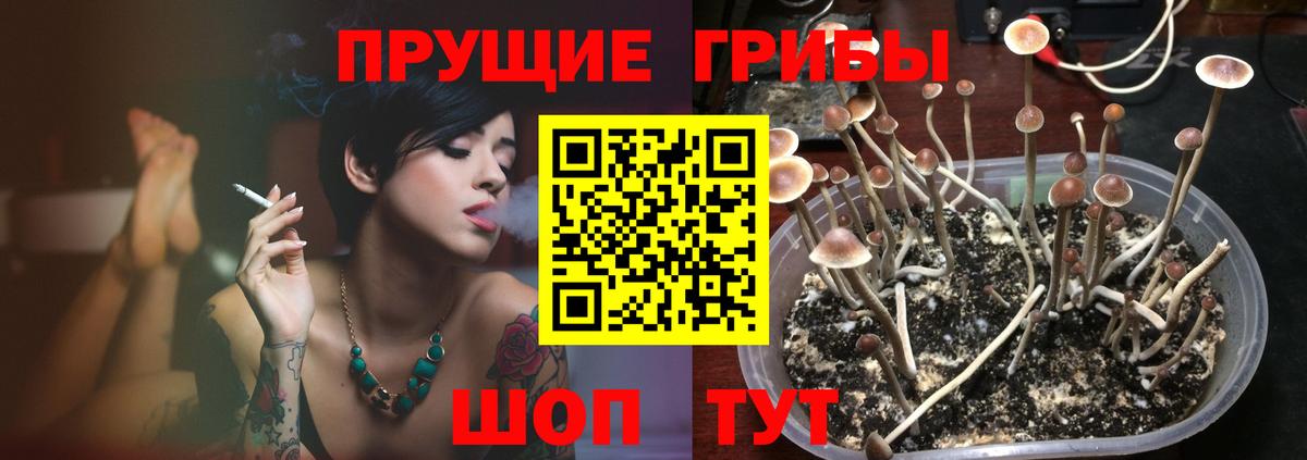 Саранск  Псилоцибиновые грибы MAGIC MUSHROOMS  цена наркотик  Галлюциногенные грибы ЛСД  Вход с VPN 